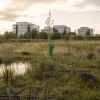 La biodiversité n'est pas la petite sœur du climat : pourquoi votre comex doit lui dédier un poste