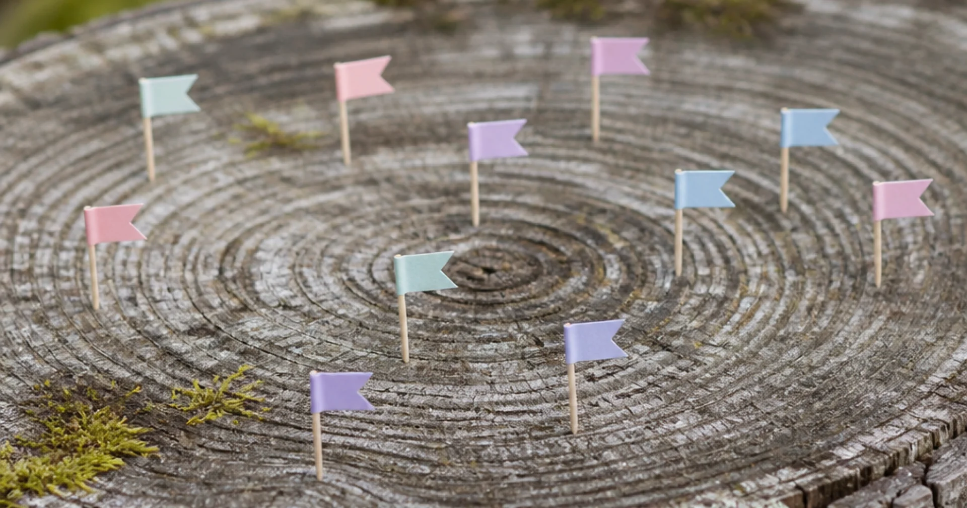 Formation RSE des managers : intégrer les enjeux climat dans l'entretien annuel et les objectifs